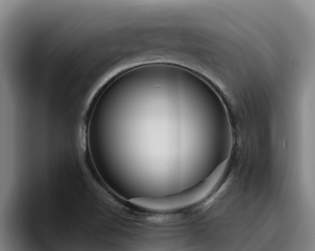 X0000094951510200712061241