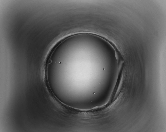 X0000094951511200712061241