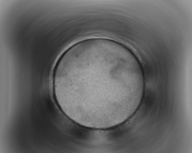 X0000094951514200712061241