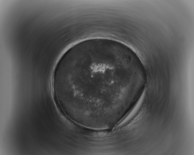 X0000094951515200712061241