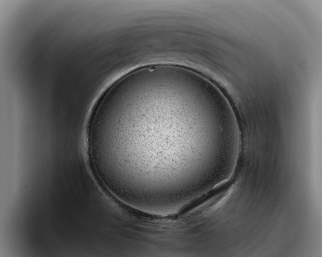 X0000094951517200712061241