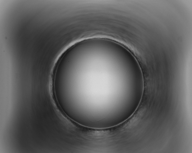 X0000094951518200712061241