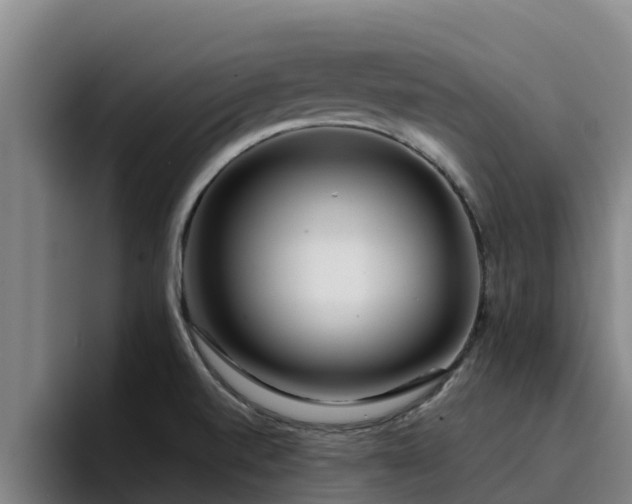 X0000094951520200712061241