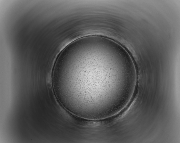 X0000094951521200712061241