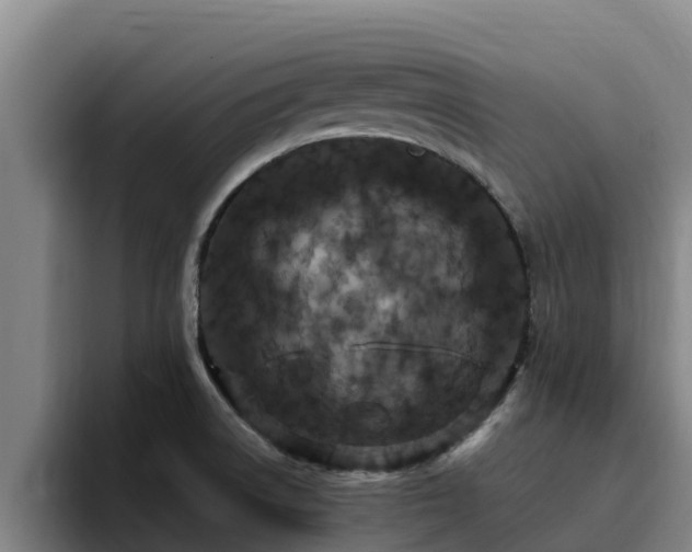 X0000094951522200712061241