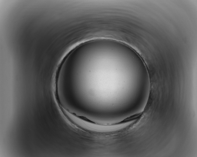 X0000094951523200712061241