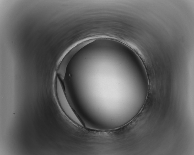 X0000094951524200712061241