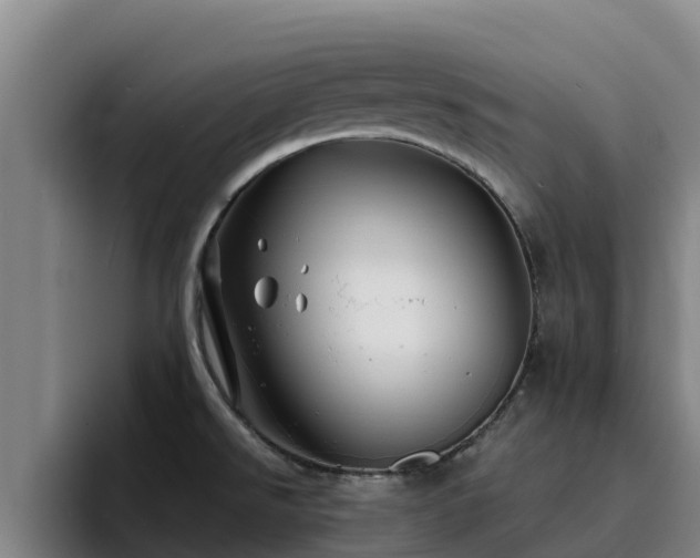 X0000094951526200712061241