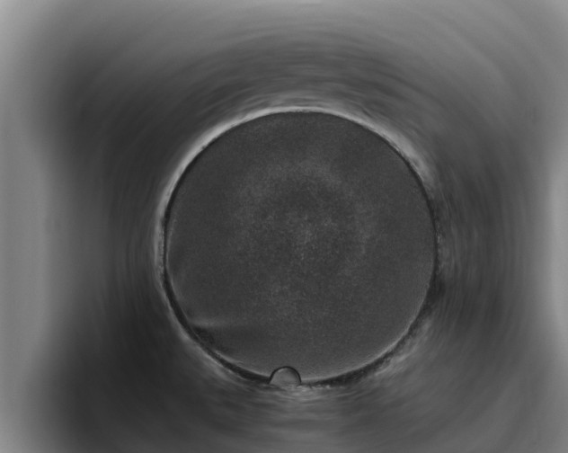 X0000094951527200712061241