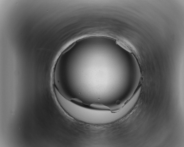 X0000094951528200712061241