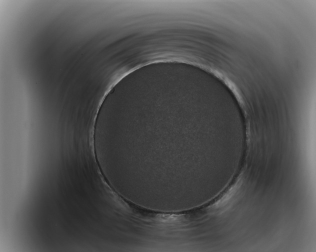 X0000094951529200712061241