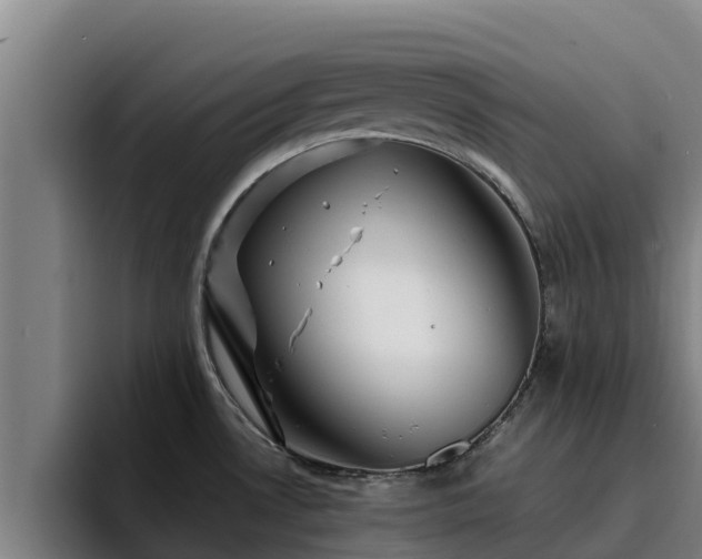 X0000094951530200712061241