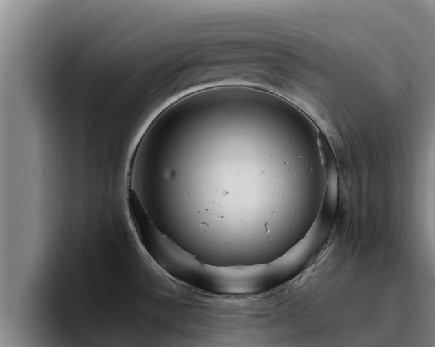 X0000094951532200712061241