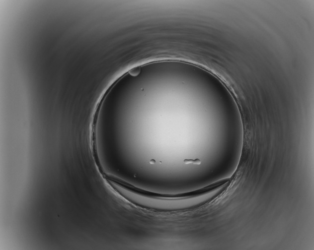 X0000094951535200712061241