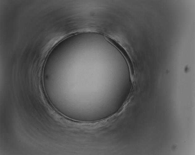 X0000094950001200712131632