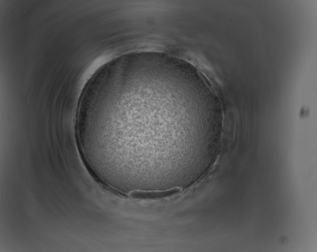 X0000094950003200712131632