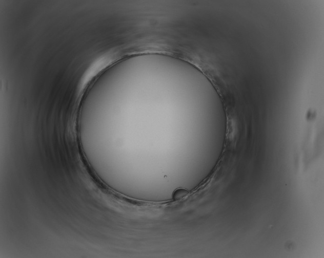 X0000094950004200712131632