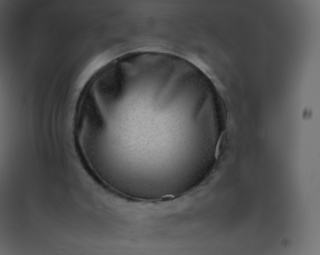 X0000094950007200712131632