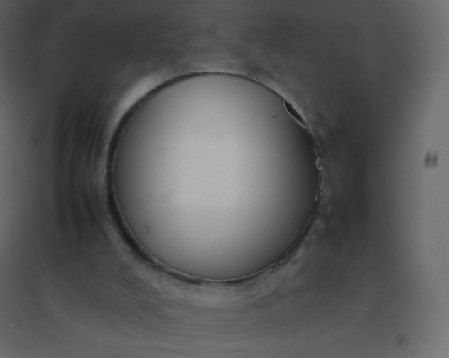 X0000094950008200712131632