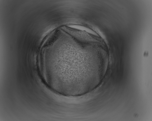 X0000094950010200712131632