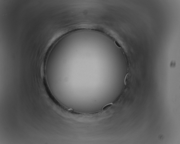 X0000094950011200712131632