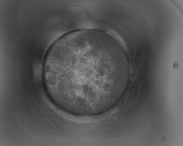 X0000094950012200712131632