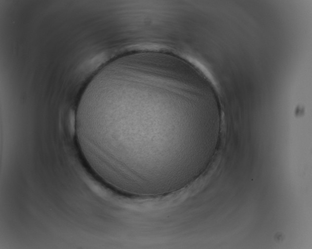 X0000094950013200712131632