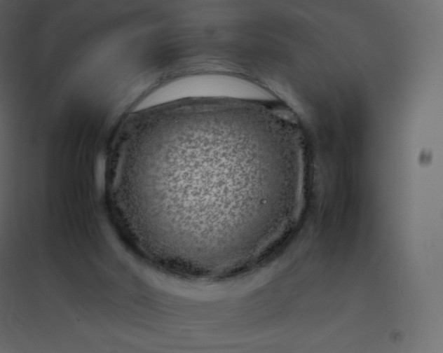 X0000094950014200712131632