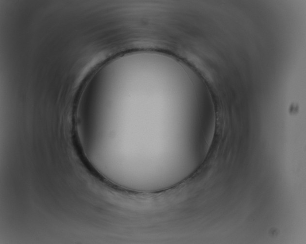 X0000094950015200712131632