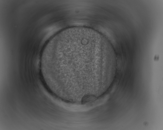 X0000094950016200712131632