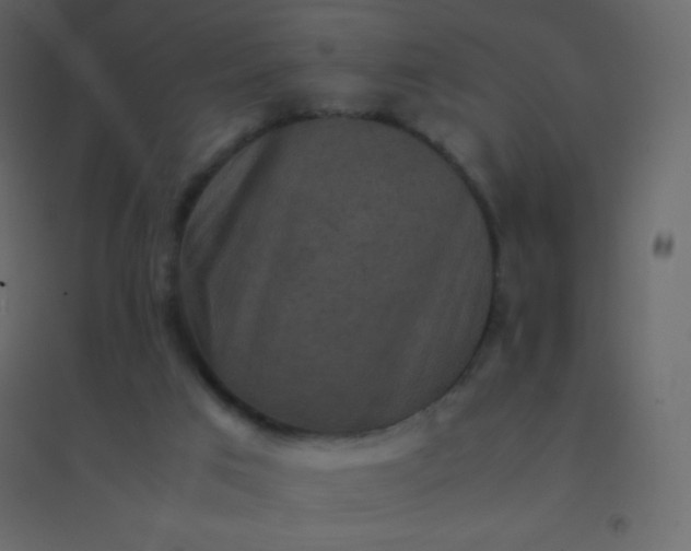 X0000094950017200712131632