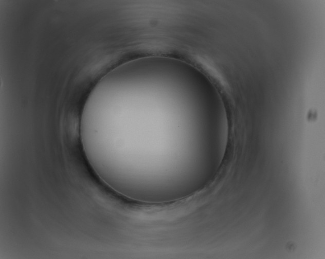 X0000094950021200712131632