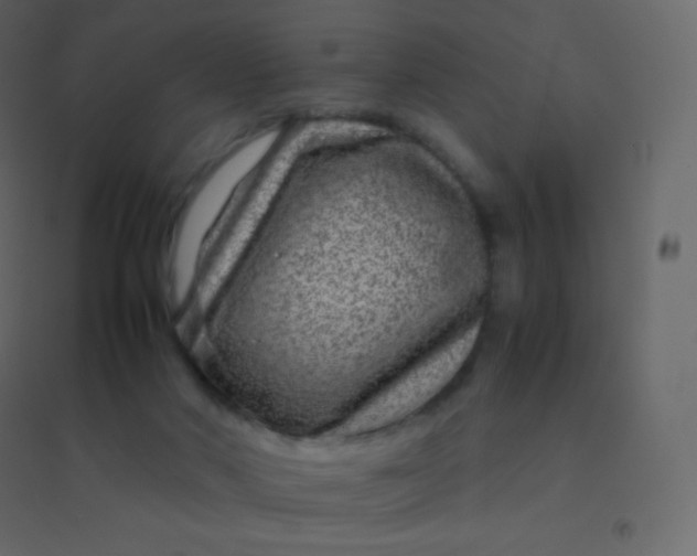 X0000094950022200712131632