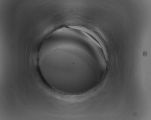 X0000094950023200712131632