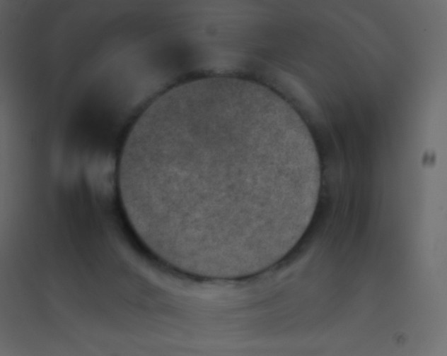 X0000094950024200712131632