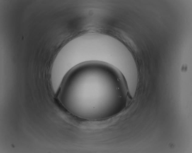 X0000094950025200712131632