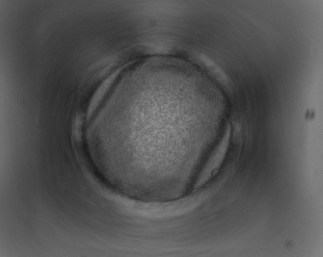 X0000094950026200712131632