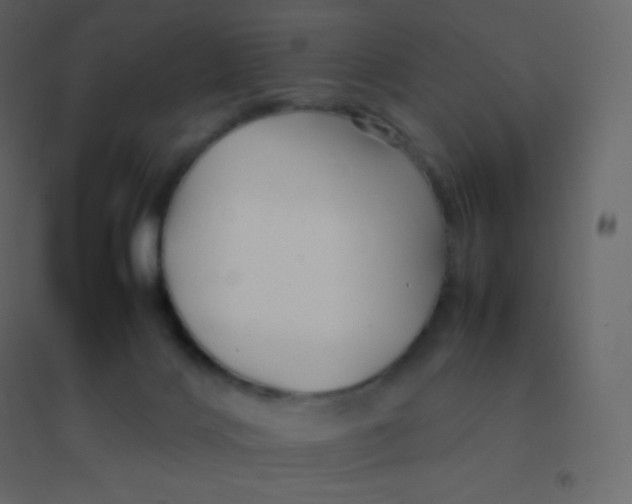 X0000094950028200712131632