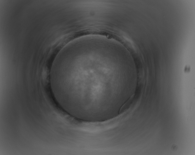 X0000094950029200712131632