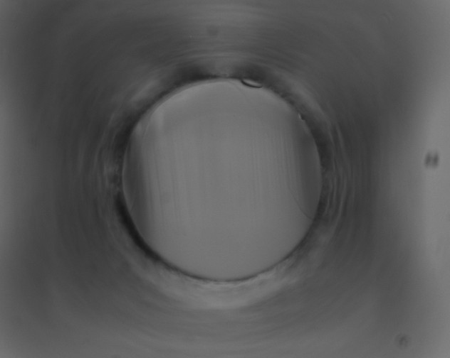 X0000094950031200712131632