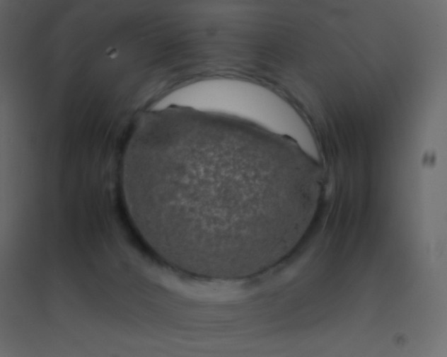 X0000094950032200712131632