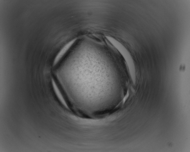 X0000094950034200712131632