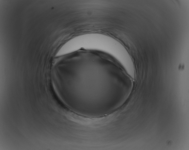 X0000094950035200712131632