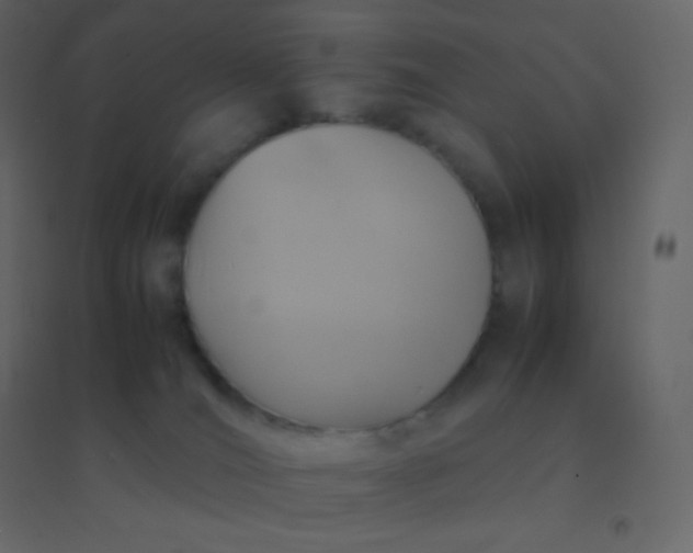 X0000094950036200712131632