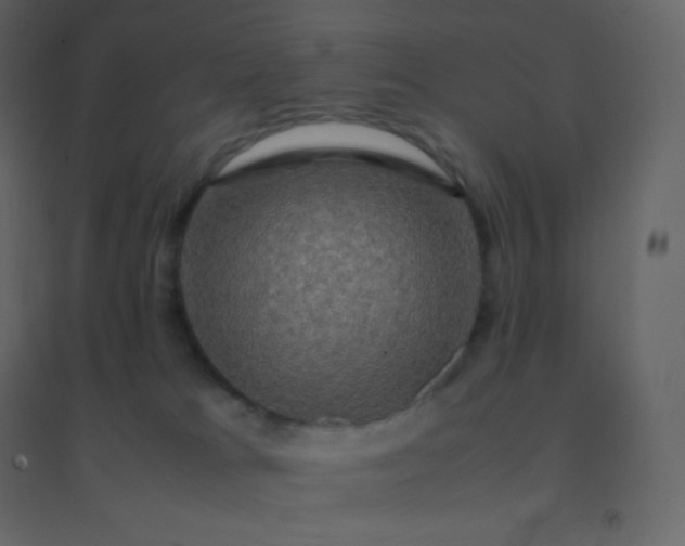 X0000094950037200712131632