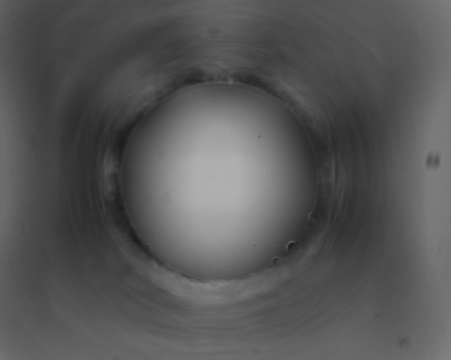 X0000094950038200712131632