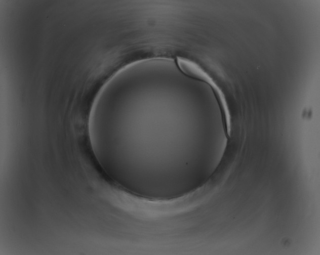 X0000094950039200712131632