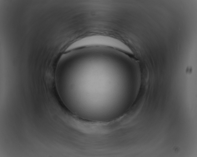 X0000094950040200712131632