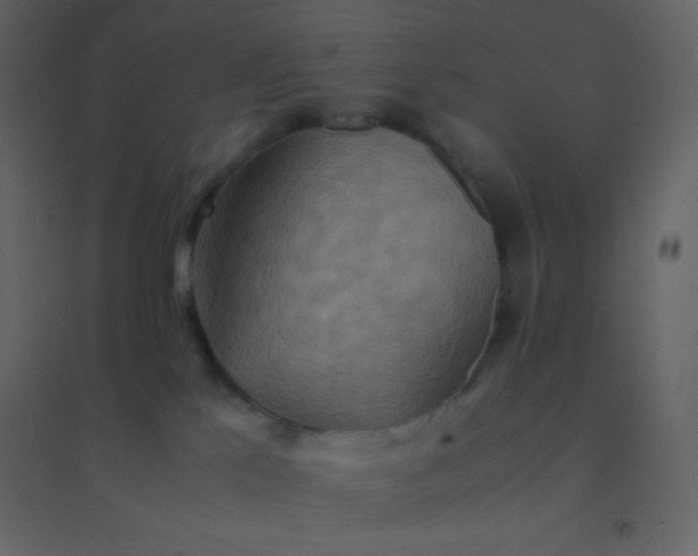 X0000094950041200712131632