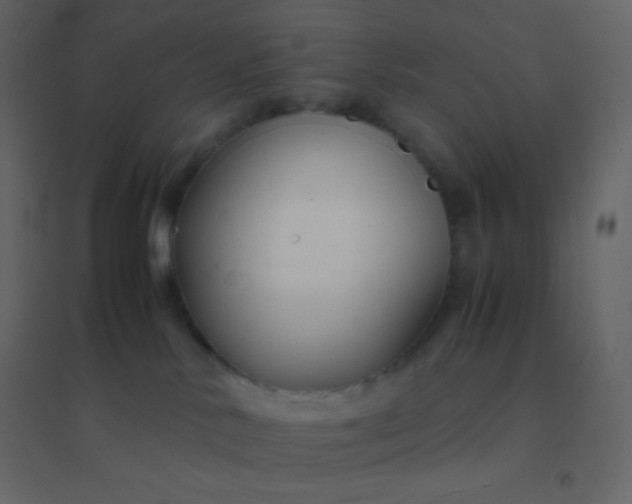 X0000094950042200712131632